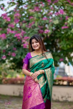 Saree Fabric : Banarasi Silk Saree Color :Jungle Green Saree Length : 5.5 Meter Blouse Length : 0.8 Meter Saree Work : All Zari Work Saree Border : Zari Woven Border All Over Wash : Dry Clean Zari Work Saree, Glamorous Saree, Dress Saree, Traditional Saree, Banarasi Silk Saree, Saree Border, Designer Kurti, Jungle Green, Green Saree