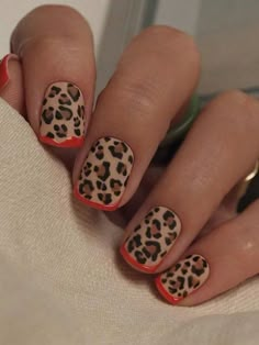 Multicolor  Collar    Color Nails Embellished   Nail,Hand & Foot Care Short Nail Leopard Print, Colourful Animal Print Nails, Spotty Nails Designs, Winter Leopard Nails, Leopard Short Nails, Leapord Print Nail, Leopard Print Nails Short, Leopard Nails Short, Nail Designs Leopard Print