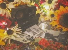 an old radio surrounded by sunflowers and other flowers