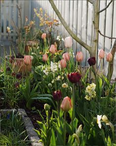 many different types of flowers growing in a garden next to a white fence and trees