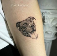 a black and white photo of a dog's face on the right side of the arm