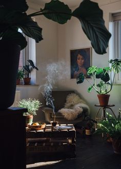 a living room filled with lots of potted plants next to a painting on the wall