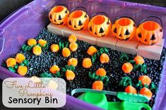 a purple tray filled with lots of fake pumpkins