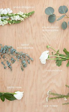 the different types of flowers and leaves on a wooden surface with text above them that says,