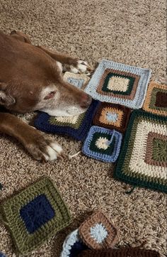 a brown dog laying on the floor next to crocheted squares