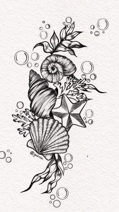 a black and white drawing of seashells