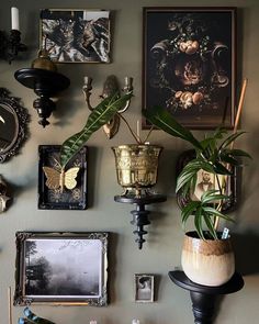 gothic decorvintagegorgeous roomsvictorian home decor 🥀 Hammock Room, Academia Kitchen, Victorian Gothic Decor, Gothic Interior, Victorian Home Decor, Spooky Witch, Goth Home