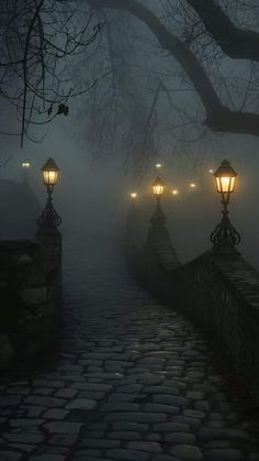 foggy night with street lights and cobblestones on the walkway in front of trees