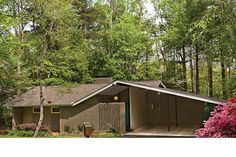 a house in the woods with lots of trees around it and flowers on the ground