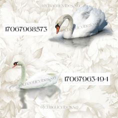 two white swans sitting on top of a lake next to each other in front of flowers