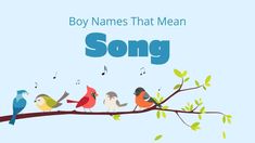 a song with birds sitting on a tree branch