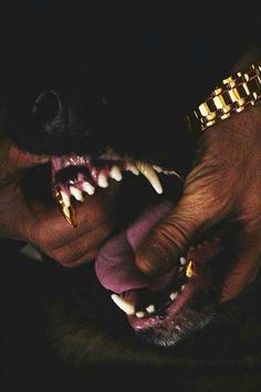 a person holding a dog's teeth with it's mouth open in the dark