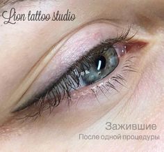 Top Eyeliner, Eyeliner Shapes, Eyeliner Techniques, Powdered Eyeliner, Permanent Makeup Machine, Glossy Eyes