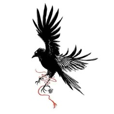 a black bird flying with its wings spread