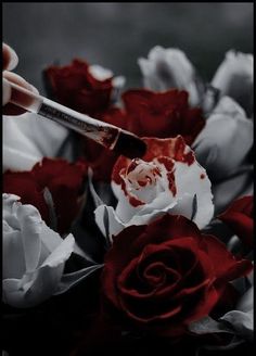 someone is painting the flowers with red and white paint on their hands, while they are in black and white