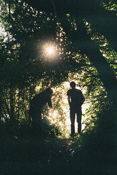 two people standing in the middle of a forest with sun shining through some trees and leaves