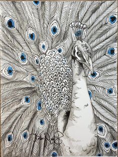 a drawing of a peacock with blue eyes and feathers on it's back side