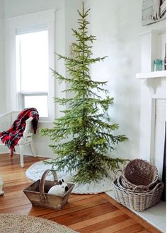 a small christmas tree in the corner of a room