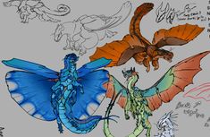 several different types of dragon like creatures