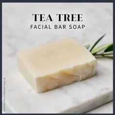 Tea Tree Facial Bar Handmade Bar Soap For Daily Cleansing That Controls Oil And Removes Impurities Tea Tree Balances The Skin And Helps Reduce And Control Excess Oil Kaolin Clay Draws Impurities From Pores And Leaves Skin Feeling Fresh Great For All Skin Types, Especially Combination To Oily Skin Lemongrass Spa Products, Protection Tea, Lemongrass Spa, Facial Bar, Handmade Bar, Spa Products, Kaolin Clay, Clean Skincare, Lemon Grass