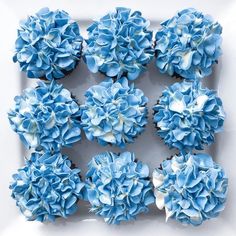 blue cupcakes with white frosting are arranged in a square box