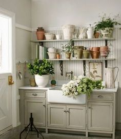 a kitchen filled with lots of potted plants on top of shelves above a sink