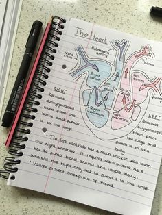 a notepad with a diagram of the heart on it next to a pen and pencil