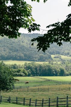 two horses are grazing in the pasture on a sunny day