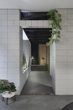 an entry way with plants and potted plants