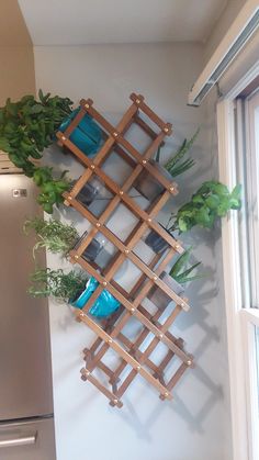 a wall mounted shelf with plants on it