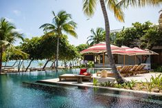 an outdoor pool with lounge chairs and umbrellas next to the water in front of palm trees