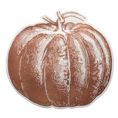 a close up of a pumpkin on a white background