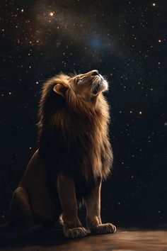 a lion sitting on the ground looking up at the sky with stars in the background