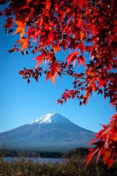 Where To Stay Near Mount Fuji For The Best View Tokyo Autumn, Hakone Japan, Hakone, Asia Travel Guide, Natural Wonders, Breathtaking Views