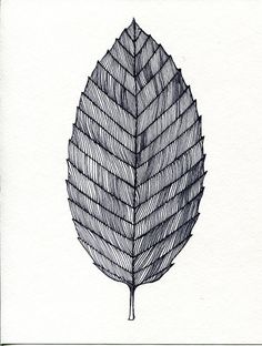 a drawing of a green leaf on a white background