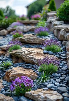 some rocks and flowers are growing in the middle of this garden area with purple flowers on each side