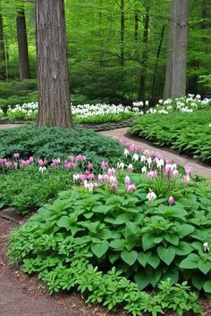 many different types of flowers in a garden