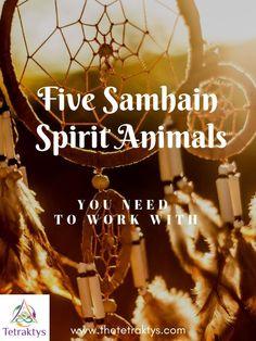 a dream catcher with the words five samhan spirit animals you need to work with