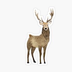 a deer with antlers on its head sticker