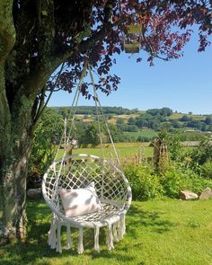 a white swing chair hanging from a tree in the grass next to a lush green field