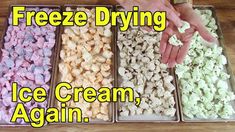 three trays filled with different types of ice cream, and the words freeze drying on them