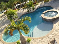 an aerial view of a swimming pool and hot tub with palm trees in the background