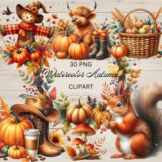 the watercolor autumn clipart set includes pumpkins, leaves and other items