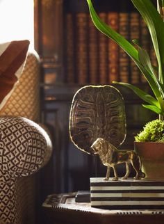 a statue of a lion on a table next to a potted plant and bookshelf