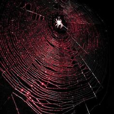 a spider web in the dark with red lights