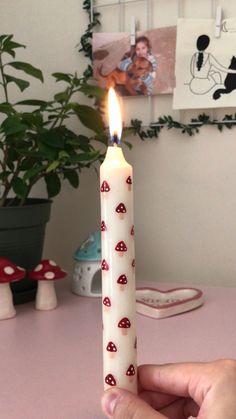 a person holding a lit candle with mushrooms on it in front of a potted plant