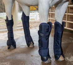 the legs and boots of a white horse