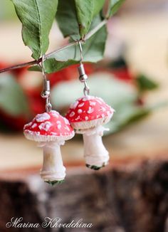 Mushroom Stuff, Mushroom Outfit, Earrings Mushroom, Fly Agaric, Mushroom Jewelry, Mushroom Earrings, Mushroom Art, Funky Jewelry, Types Of Flowers