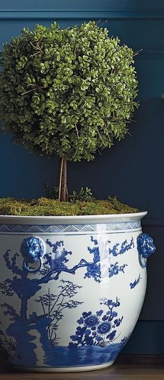 a blue and white planter with a tree in it