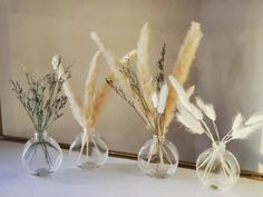 three clear vases with dried plants in them